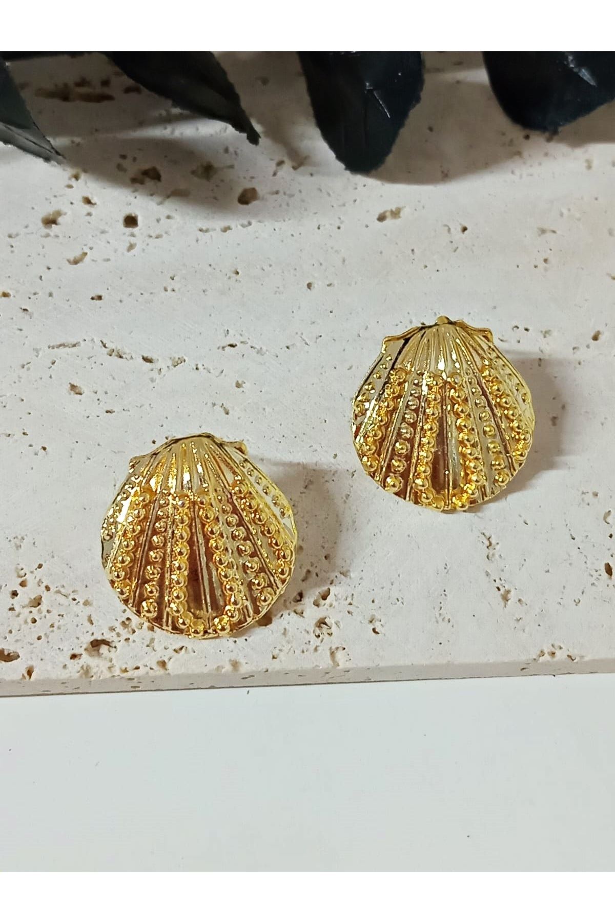 Gold Midye Hafif Kadın Küpe