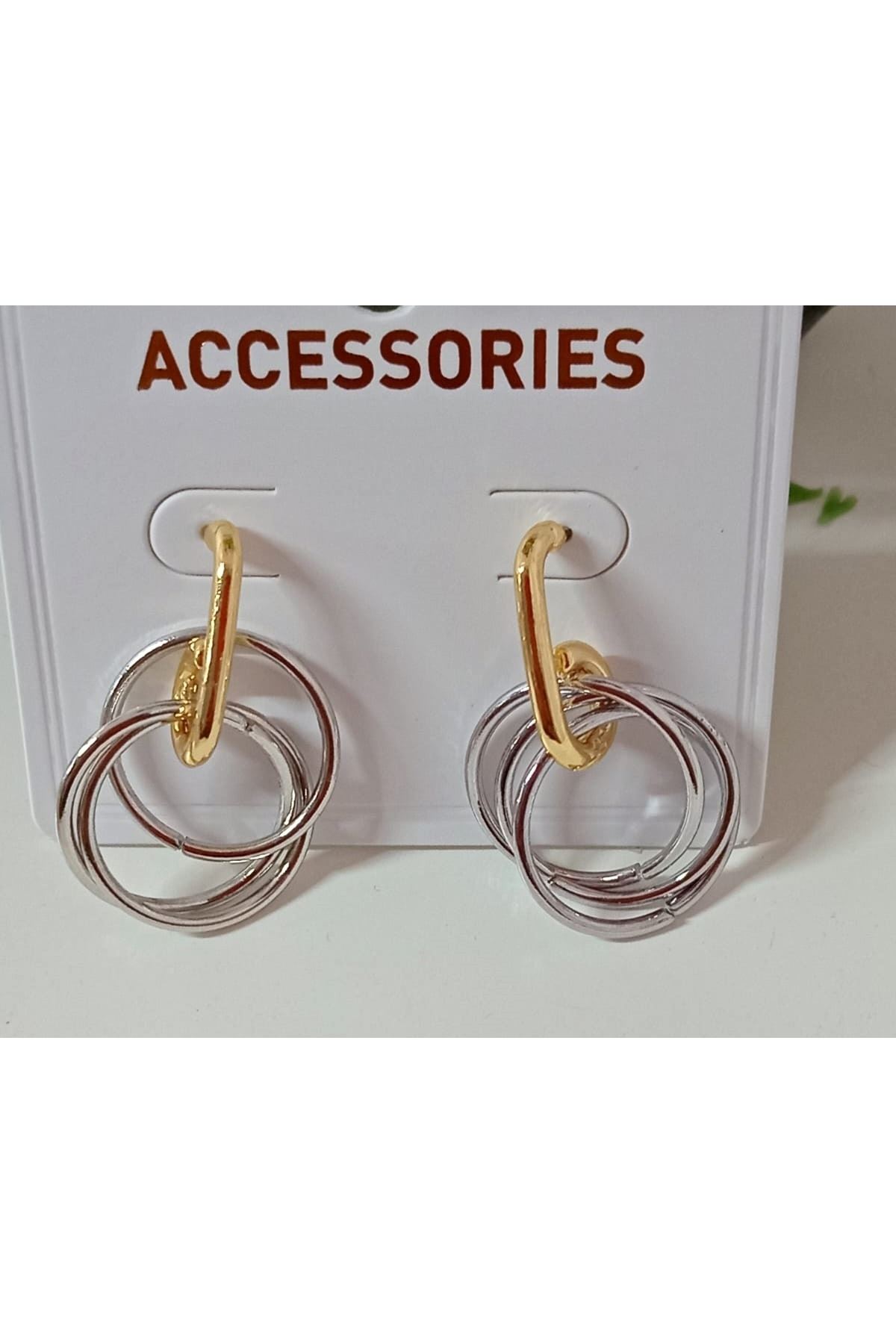 Modern Tasarım Sallantılı Halka Kadın Küpe