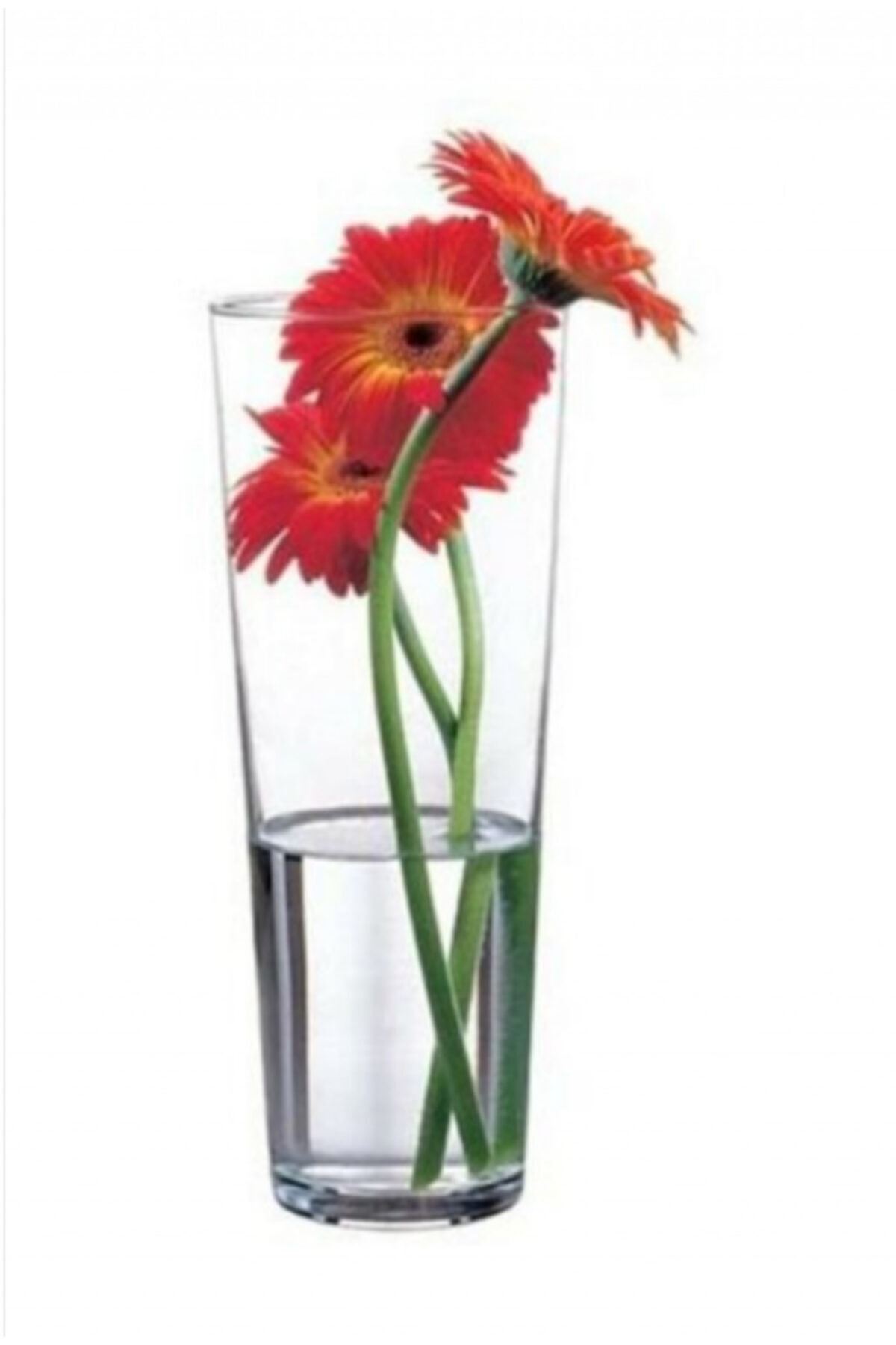 43177 Cam Vazo - Botanica Vazo 26 Cm.