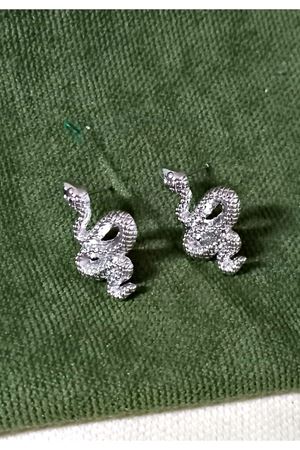 Minimal Gümüş Yılan Model Kadın Küpe