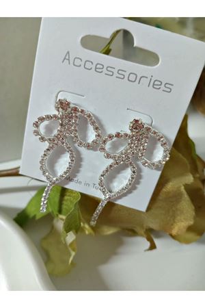 Zirkon Taşlı Fiyonk Büyük Uzun Kadın Küpe