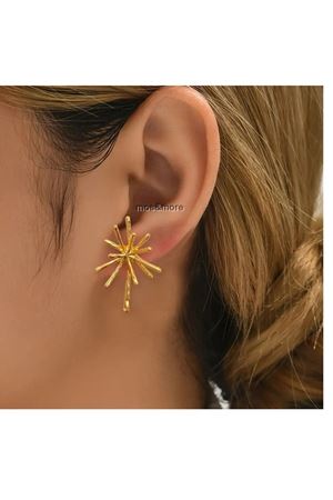 Gümüş Asimetrik Günlük Kadın Küpe