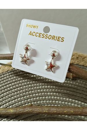 Gümüş Yıldız Mini Kadın Küpe