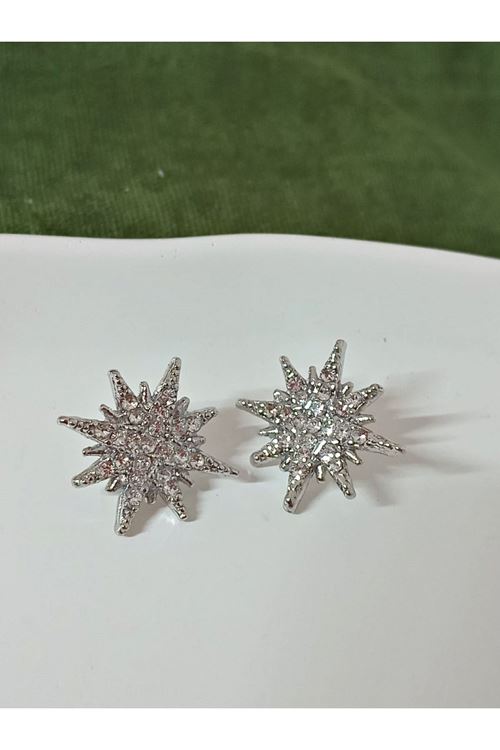 Gümüş Taşlı Yıldız Kadın Küpe