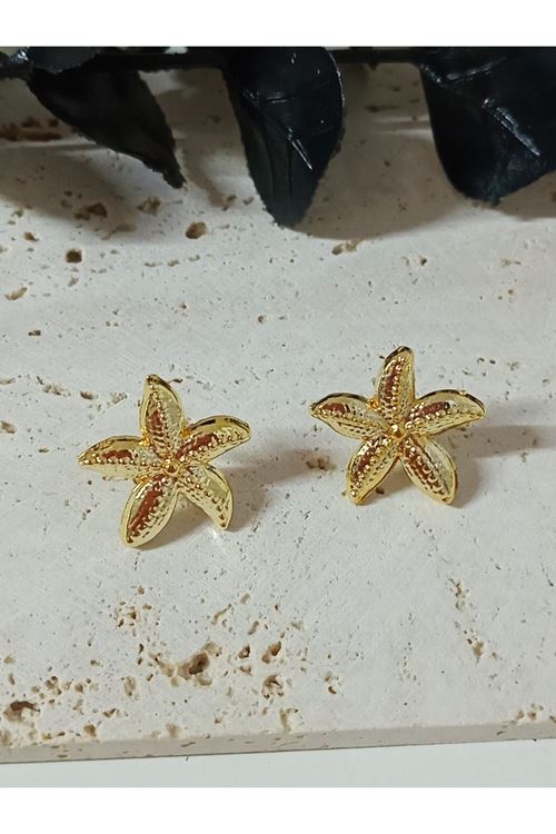 Gold Deniz Yıldızı Küçük Hafif Kadın Küpe