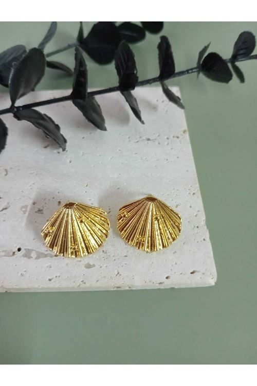 Gold Midye Hafif Kadın Küpe