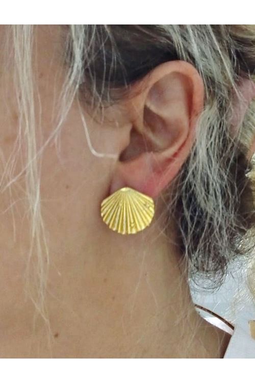 Gold Midye Hafif Kadın Küpe