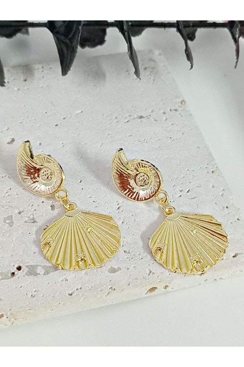 Gold Deniz Kabuğu Hafif Şık Küpe