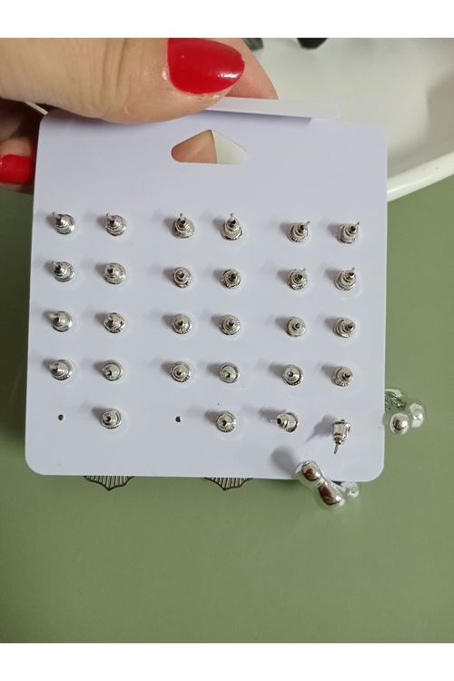 Gümüş 15 Set Küçük Küpe Seti