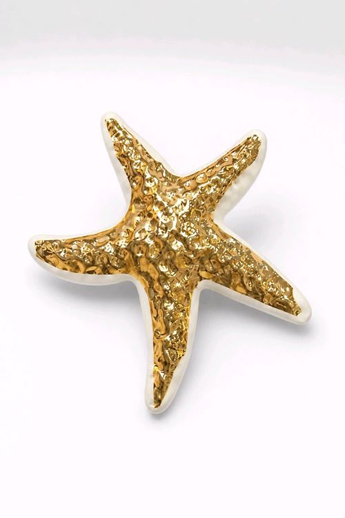 Krem Gold Deniz Yıldızı Broş