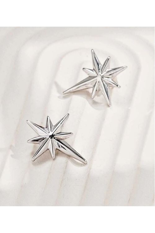 Gümüş Kuzey Yıldızı Tasarım Kadın Küpe (3CM)