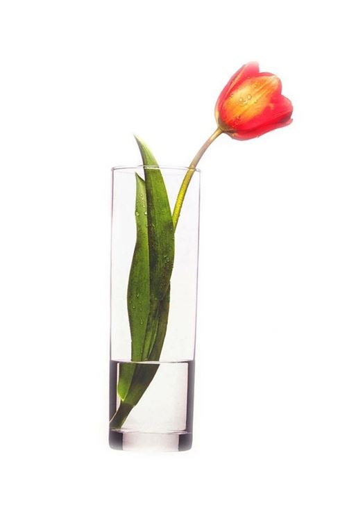 Silindir Vazo Flora