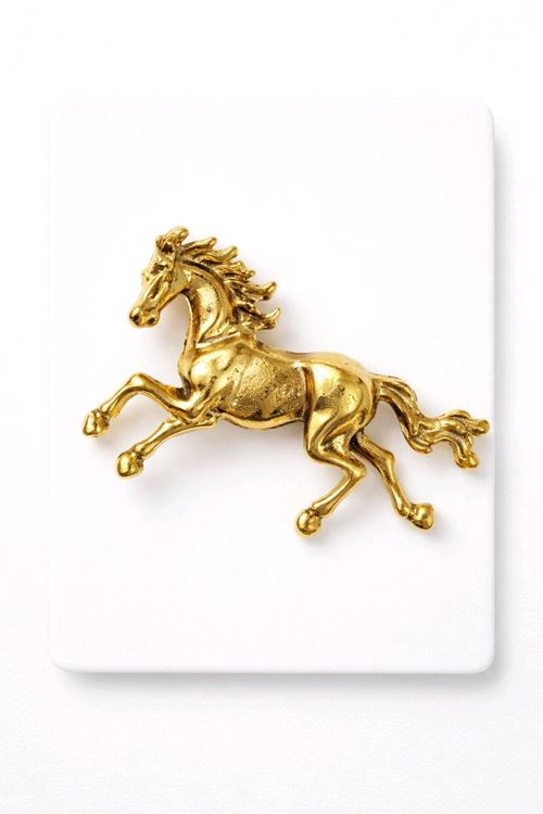 Gold At Broş, Yaka Broşu, Çanta Broşu