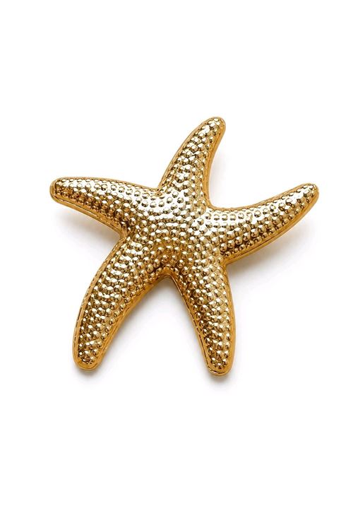 Gold Deniz Yıldızı  Broş, Uzunluk: 4,5cm, Genişlik: 3,5cm