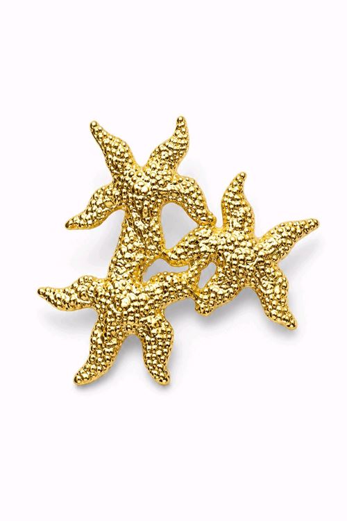 Gold Deniz Yıldızları  Broş, Uzunluk: 4cm, Genişlik: 3cm