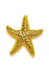 Sarı Gold Deniz Yıldızı Broş