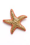 Pembe Gold Deniz Yıldızı Broş